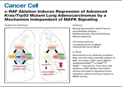 Sanclemente et al., 2018 / 2021