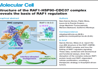 García-Alonso et al., 2022